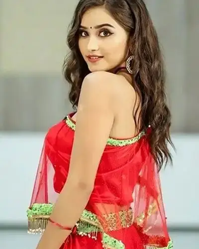 Call Girls Service Honnali